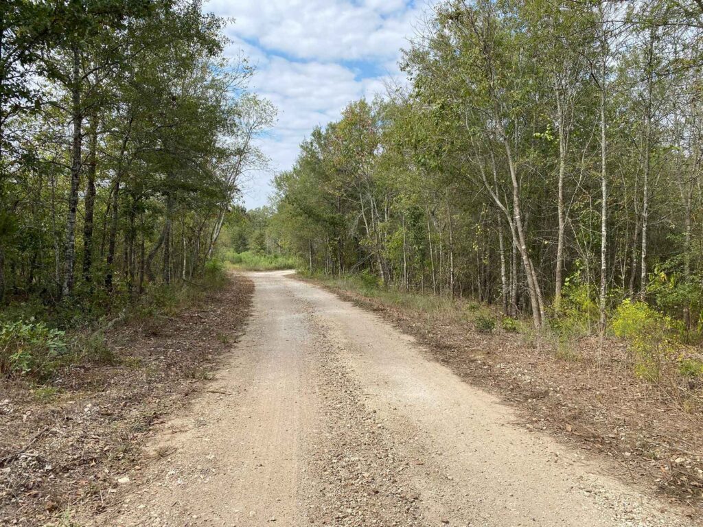 186 acres in Franklin County, Texas David Norman Land Company
